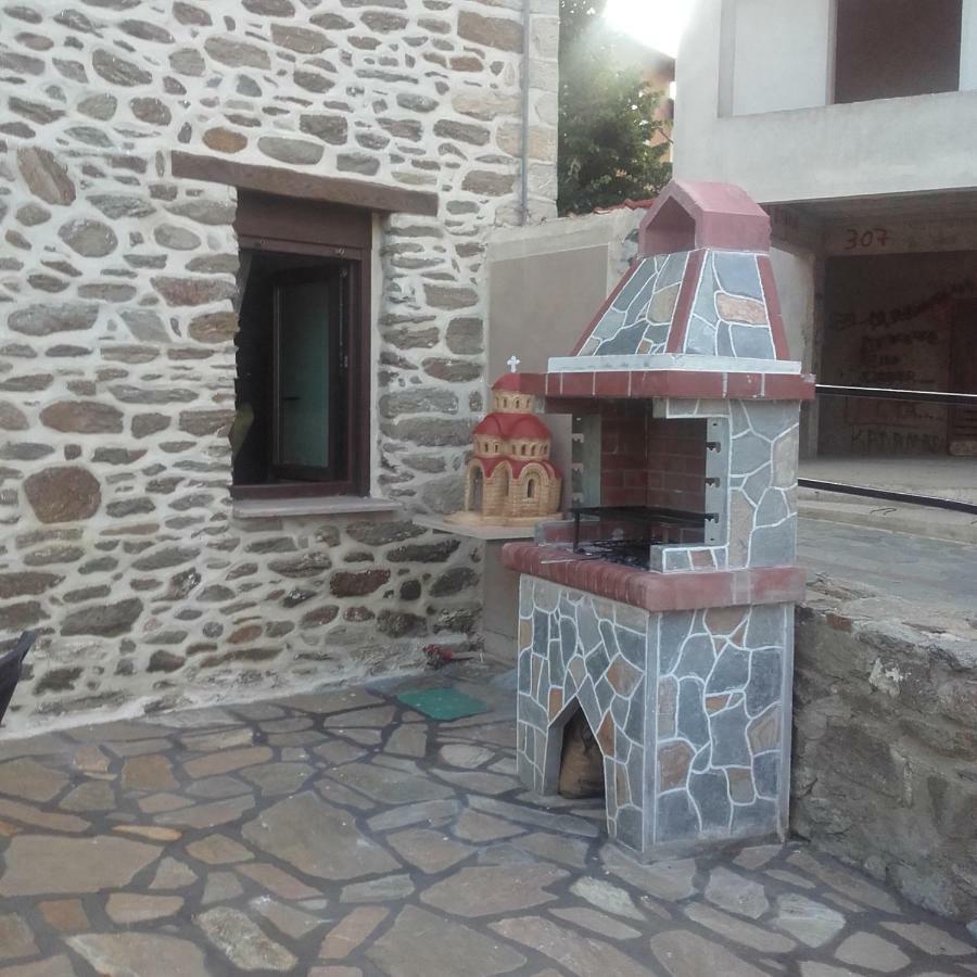 To Petrino Holidays House Metagkitsi Buitenkant foto